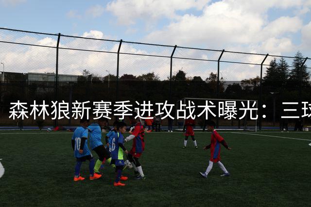 森林狼新赛季进攻战术曝光：三球联手戈贝尔或成最强挡拆组合