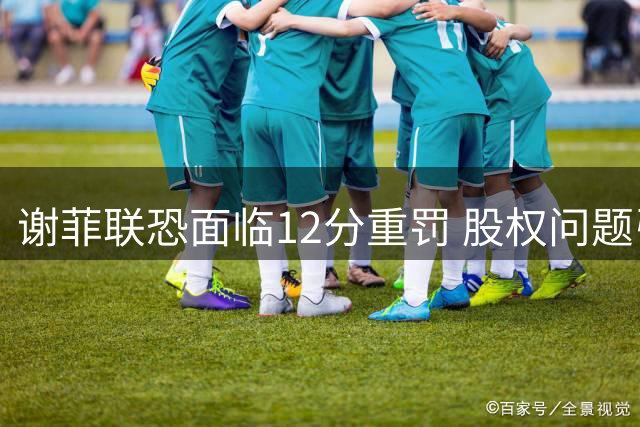 谢菲联恐面临12分重罚 股权问题引发英冠调查