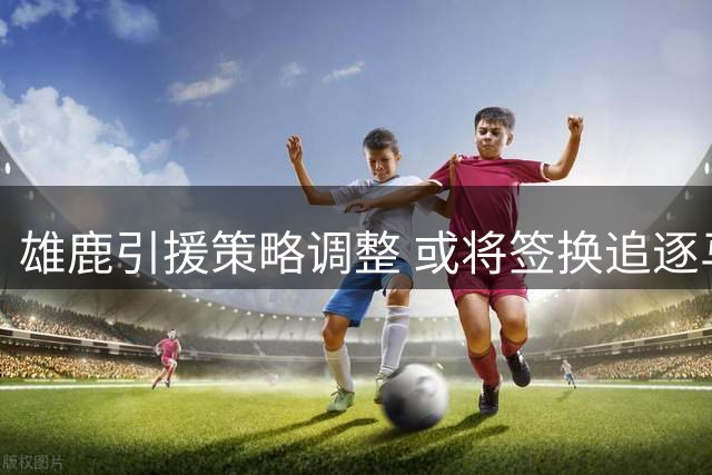 雄鹿引援策略调整 或将签换追逐马瑟林和库明加
